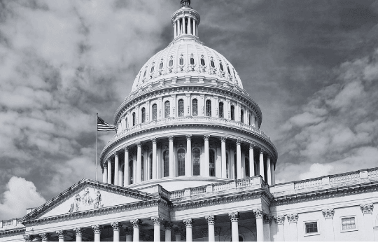 government industry header